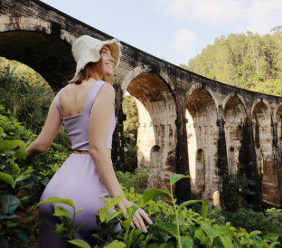 Untitled 312 x 274 px 3